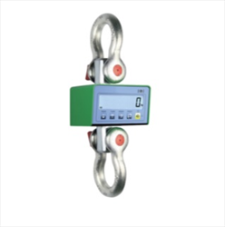 Cân móc cẩu hãng Pavone Sistemi CS05, CS09, MCwHU